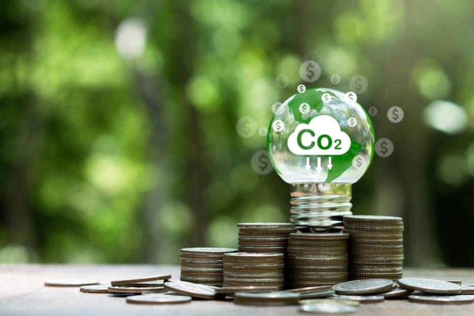 Beneficiarios presenta riesgo de no recibir los pagos por la captura de carbono, pese a haber invertido y cumplido con todos los requisitos técnicos. (Foto ilustrativa: Shutterstock)