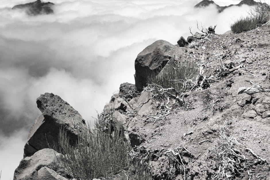 Afortunadamente el hombre que cayó al barranco seguía con signos vitales. (Foto: Archivo/Soy502)