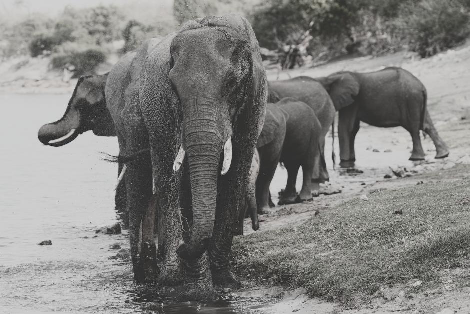 El tren se dirigía a Nueva Delhi. (Foto: Canva/Soy502)