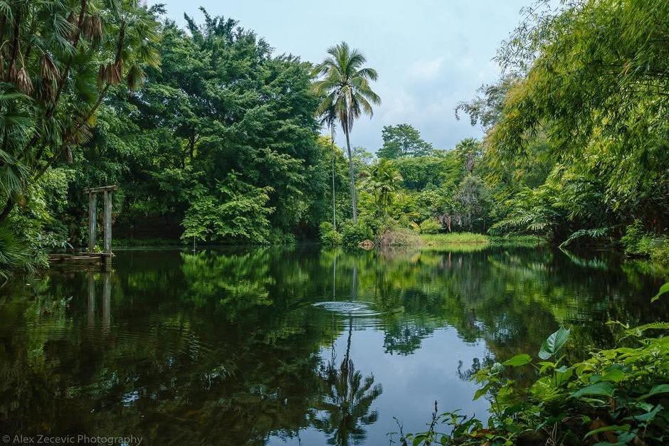 El entorno verde y fresco del lugar atrae a turistas nacionales y extranjeros. (Foto: Los Tarrales Natural Reserve)