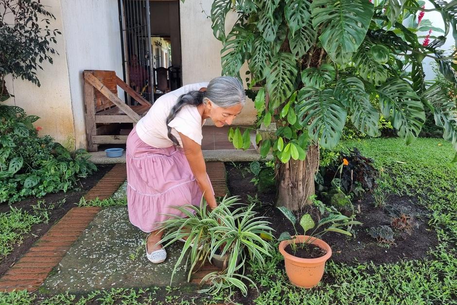 Ofelia Campos mantiene los cuidados de su jardín. (Foto: Ángel Revolorio/Colaborador)