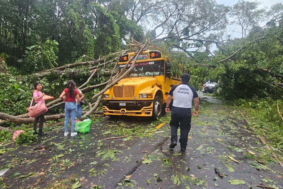 Los árboles derribados por los vientos afectaron a varios vehículos. (Foto: Bomberos Voluntarios)