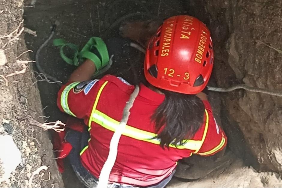 Una socorristas fue la que tranquilizó al perro, lo ató y procedió a su rescate. (Foto: Bomberos Municipales / Soy502)