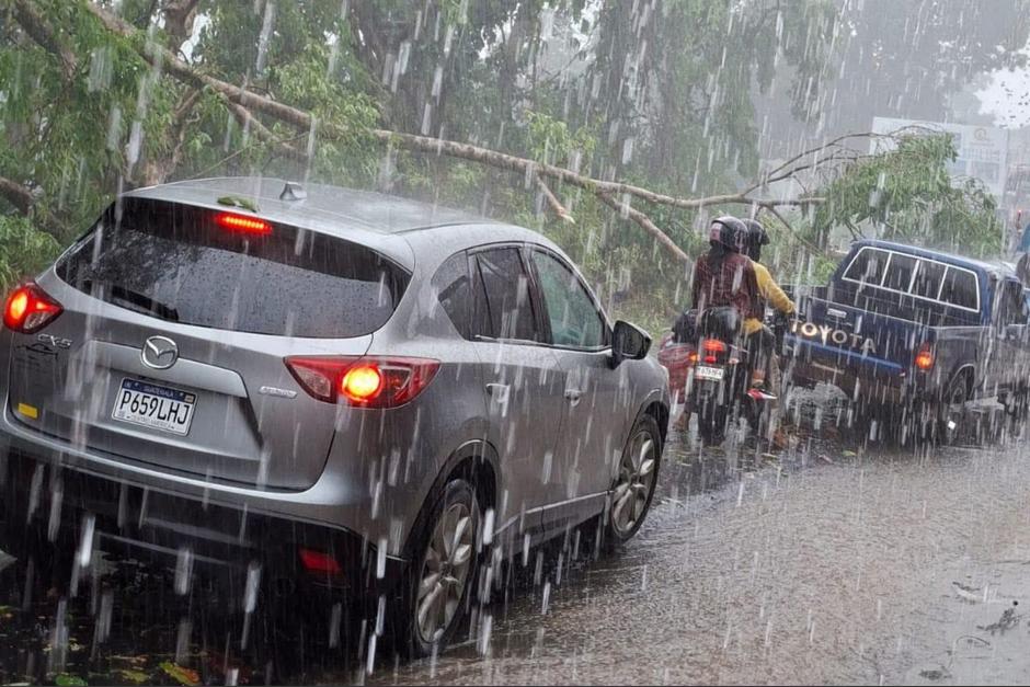 La fuerte lluvia provocó caída de ramas de árboles que complican el tránsito. (Foto: Clima Guatemala / Soy502)