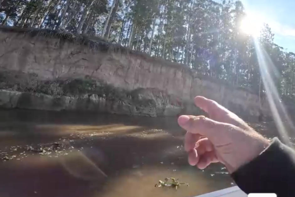El perro estaba a la orilla del río, amarrado con una cuerda. (Foto: Captura de pantalla)