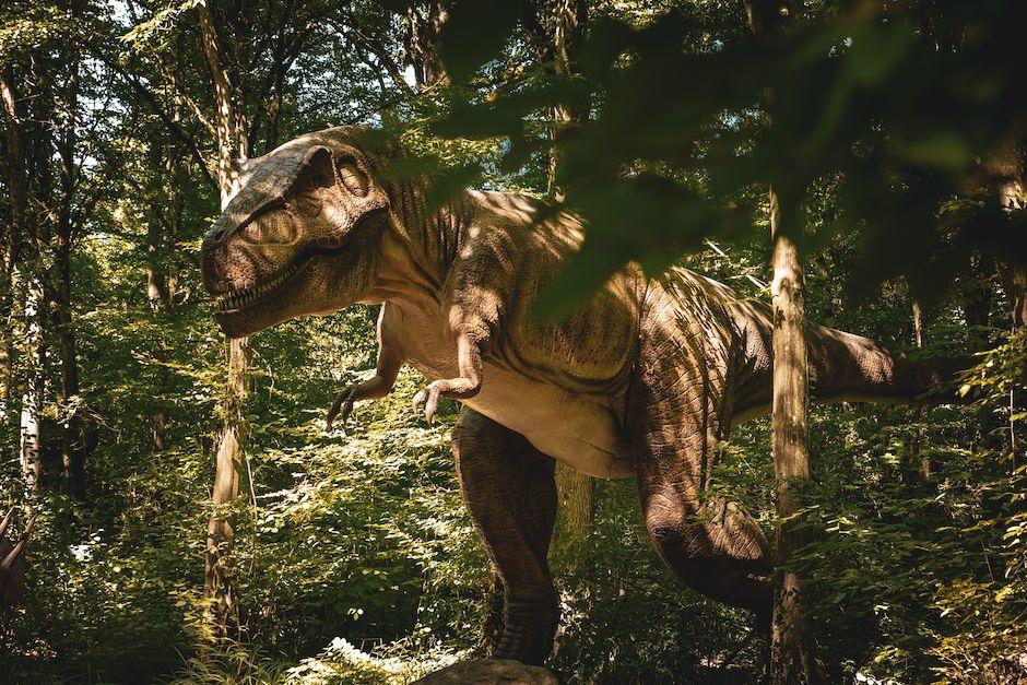 Los dinosaurios llegarn a Guatemala en un evento para toda la familia. (Foto ilustrativa: Pexels)