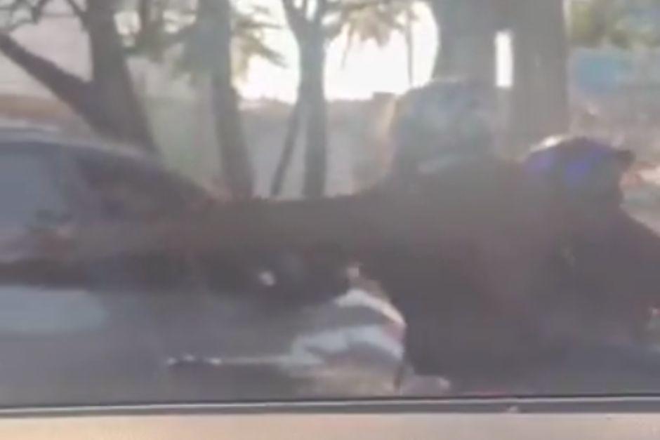 El hecho delictivo ocurrió en plena luz del día este martes. (Foto: Captura de video)