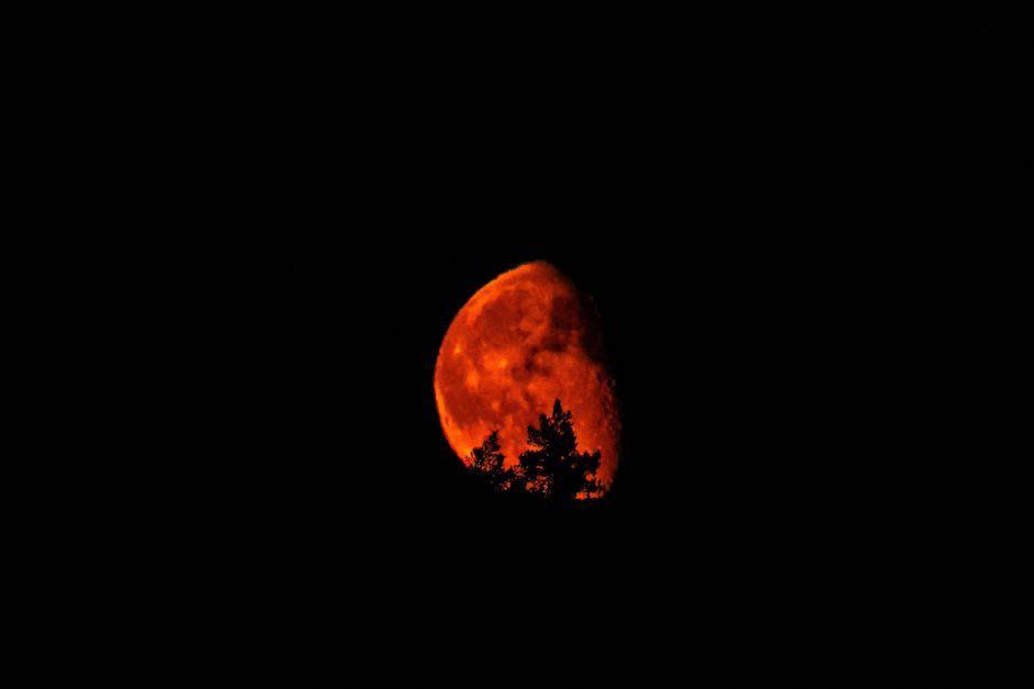 Consejos para disfrutar el eclipse lunar o luna de sangre en Guatemala. (Foto: Pexels)
