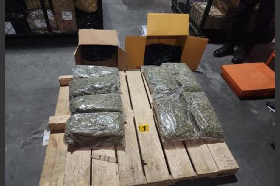Estos ilícitos eran transportados en cajas de encomiendas. (Foto: PNC)