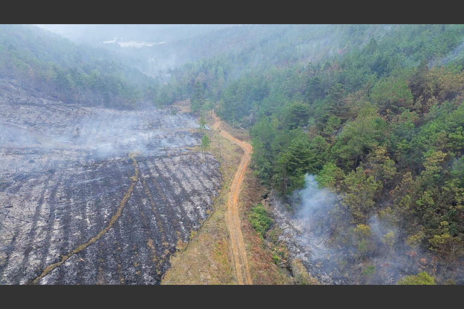 Las estadísticas del Inab reflejan una pérdida crítica de cobertura forestal en el norte de Guatemala cada verano. (Foto: Archivo)