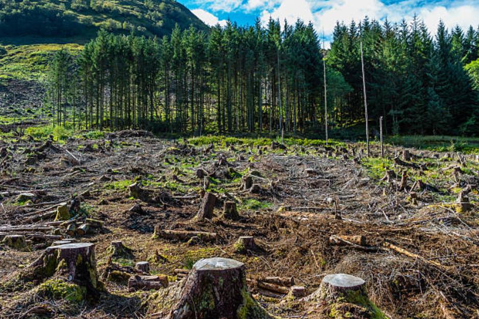 Las personas que se encontraban en el lugar de los hechos no contaban con la documentación requerida. (Foto ilustrativa: iStock)