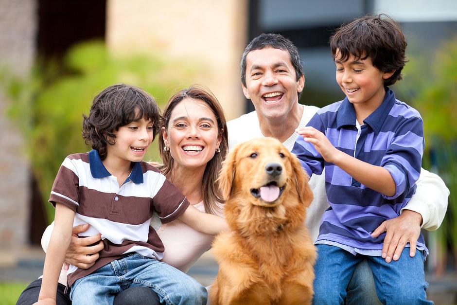 Un perro es un miembro más de la familia. (Foto: Shutterstock)