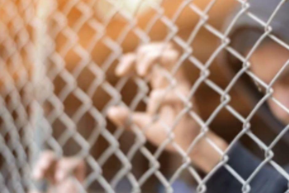Los menores fueron intervenidos por las autoridades, que presumen que se disponían a cometer un crimen. (Foto ilustrativa vía: Shutterstock)