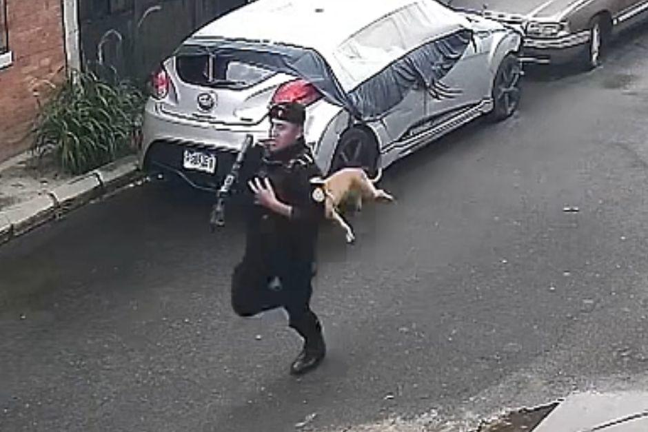 Un presunto pandillero fue perseguido por las autoridades. (Foto: captura de video)