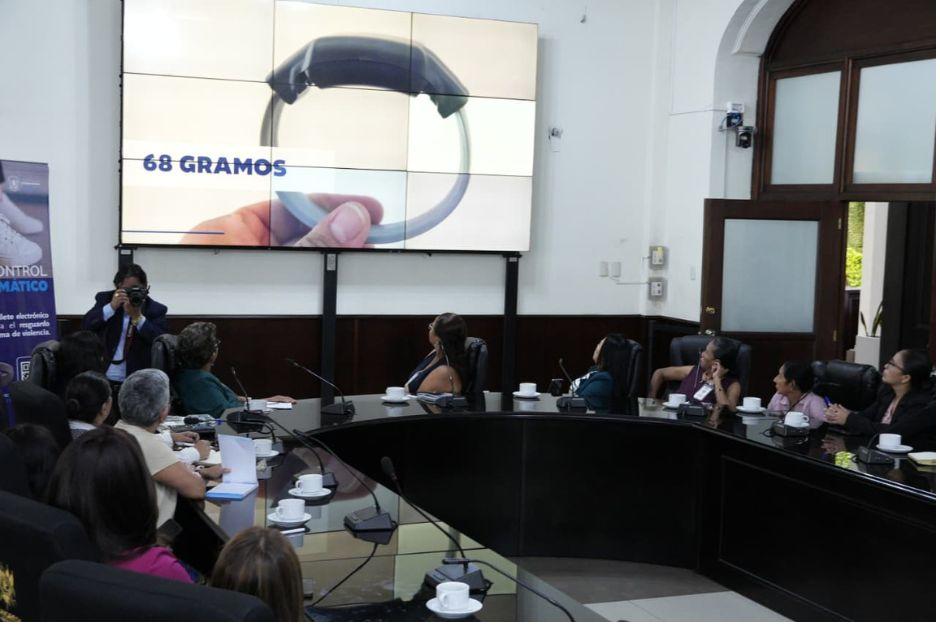 El Mingob presentó en el Congreso cómo funcionaría el control telemático en los procesos de violencia intrafamiliar. (Foto: Wilder López/Soy502)