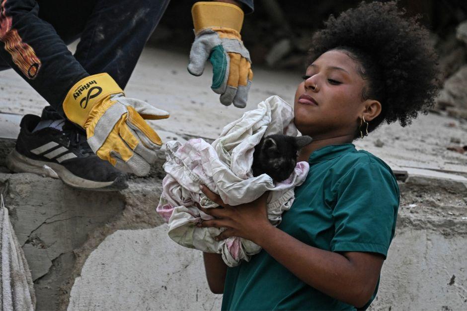 Cientos de mascotas han sido rescatadas tras los terremotos en Venezuela. (Foto: AFP)