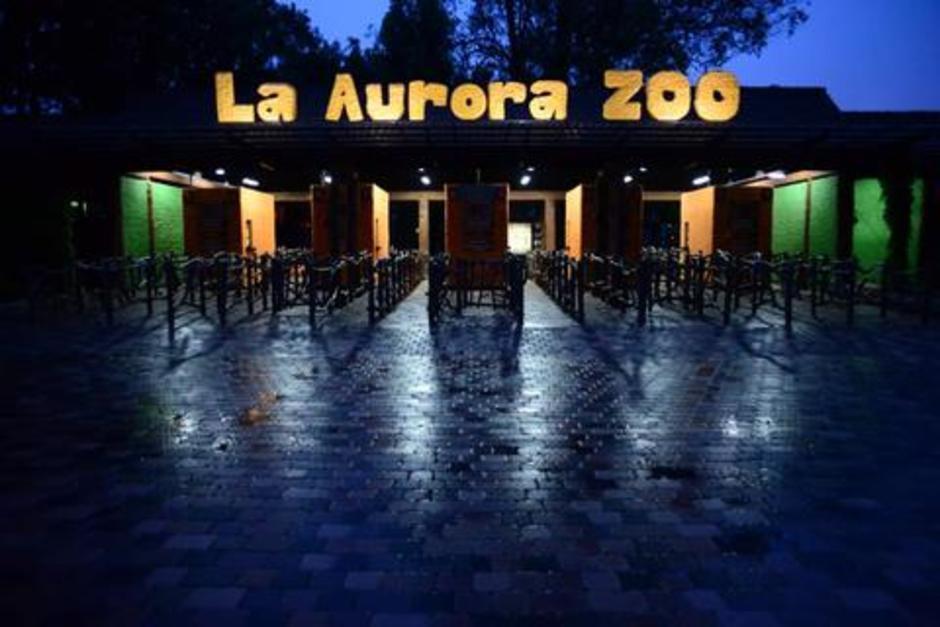Vive esta mágica experiencia y acampa en el Zoo. (Foto: archivo/Soy502)