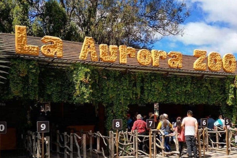 El Zoológico invita a denunciar el tráfico ilegal de animales. (Foto: archivo/Soy502)