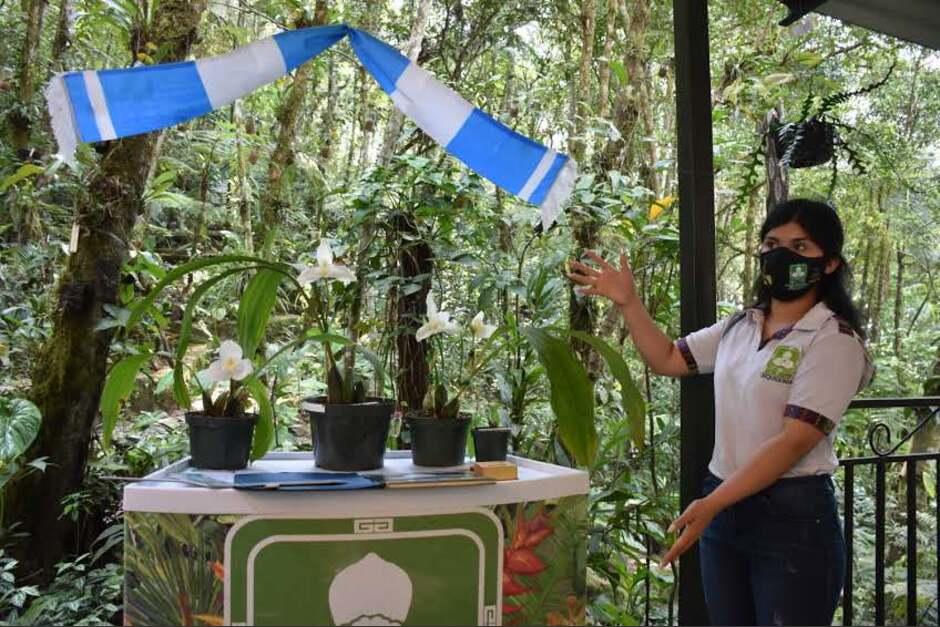Todo el que visita este recinto queda maravillado con la belleza de las orquídeas. (Foto: Irma Tzi/Colaboradora)