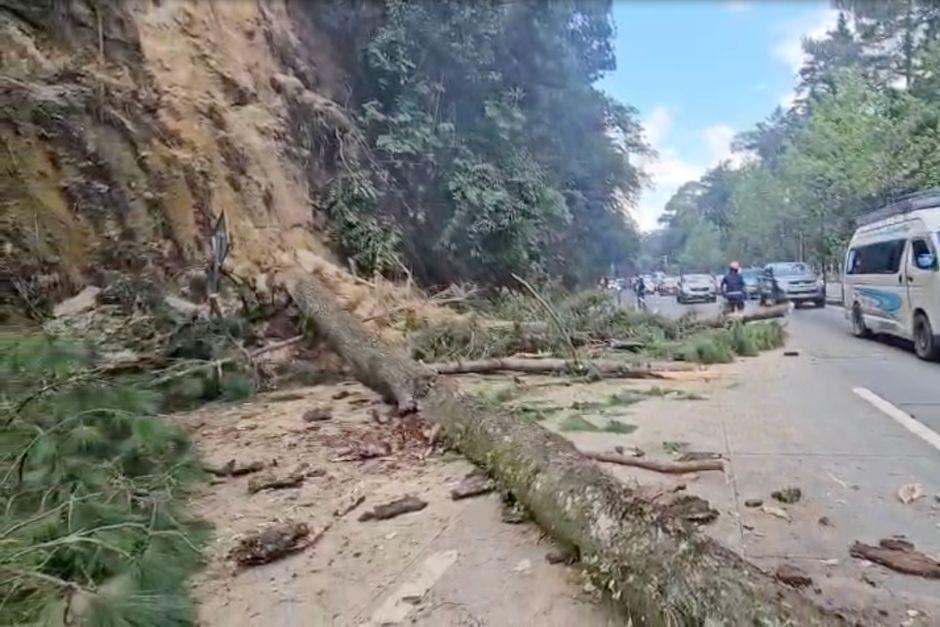 Dos troncos de grandes dimensiones cayeron sobre la carretera. (Foto: Captura de video de Asonbomd)