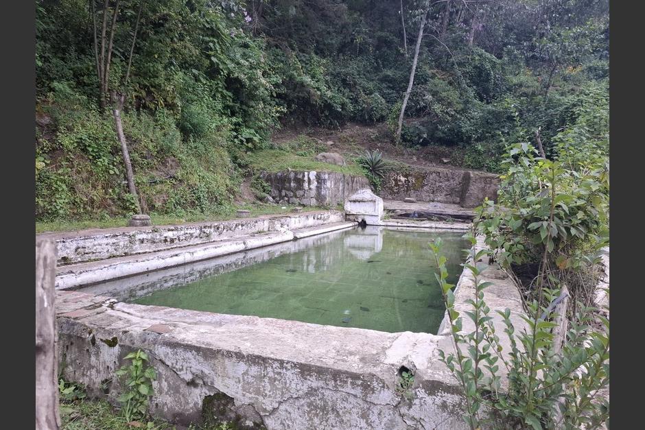 El bosque que rodea el balneario, un entorno que ha sobrevivido tormentas y huracanes. (Foto: Josué Ardeano/Colaborador)
