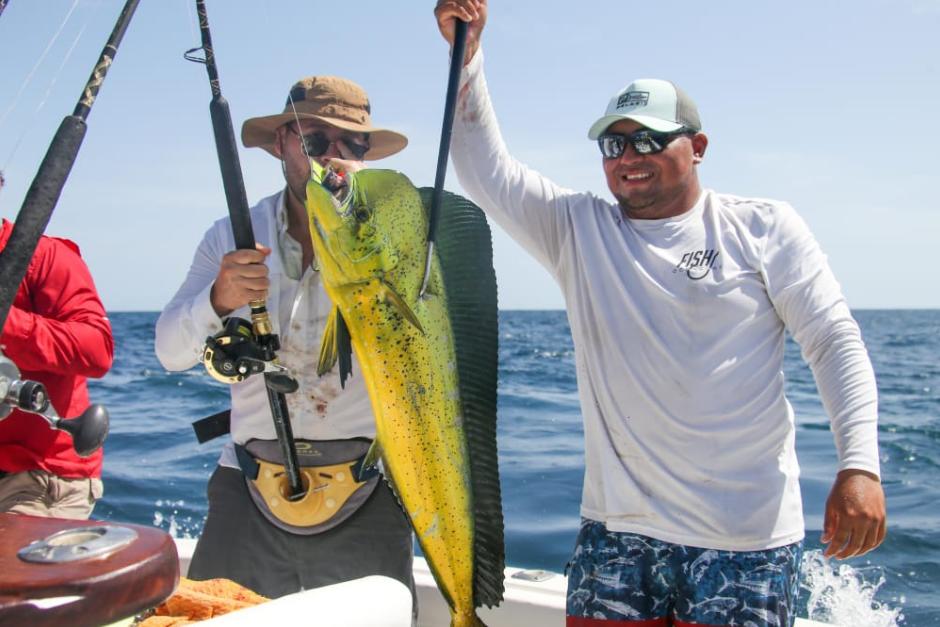 La modalidad de competencia del pez dorado es por peso, gana el equipo que más libras acumule, en los tres especímenes que se permiten pesar. (Foto: Erick Velásquez/Asociación Nacional de Pesca Deportiva)