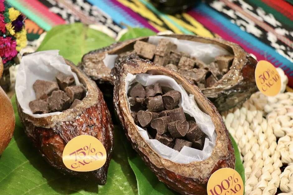 El cacao fino de aroma es el protagonista de la economía agrícola en la Franja Transversal del Norte. (Foto: Estuardo Jiménez/Colaborador)