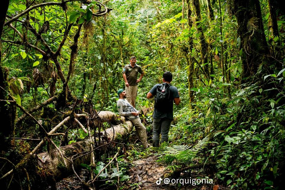 Integrantes de Orquigonia encontraron los fósiles mientras exploraban el bosque en busca de orquídeas. (Foto: Orquigonia)