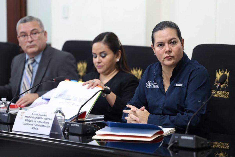 La cartera solicita Q516.1 millones más respecto al presupuesto vigente de 2026. (Foto: Organismo Legislativo)