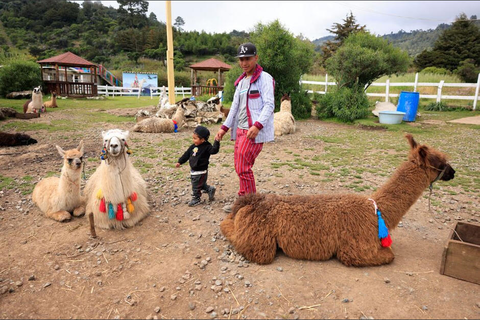 En la aldea Chiabal, Todos Santos Cuchumatán se ubica el sitio Las Llamas de Los Cuchumatanes. (Foto: José Gómez/Colaborador)