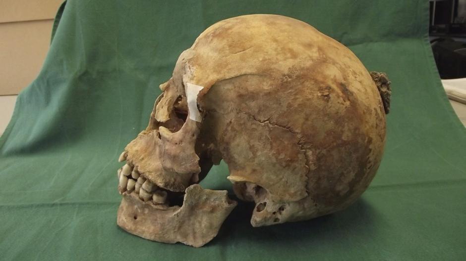Imagen facilitada por la universidad de Winchester sin fechar que muestra una calavera descubierta en la tumba de la iglesia de San Bartolomé en Winchester, Reino Unido. Los restos del rey Alfredo el Grande (849-899) o bien de su hijo, Eduardo el Viejo (874-924), podrían haber permanecido los últimos quince años en una caja sin etiquetar en el almacén de un museo de Winchester. (Foto: EFE)