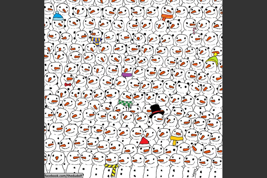 Busque en esta imagen el panda. (Imagen: Dudolf) 