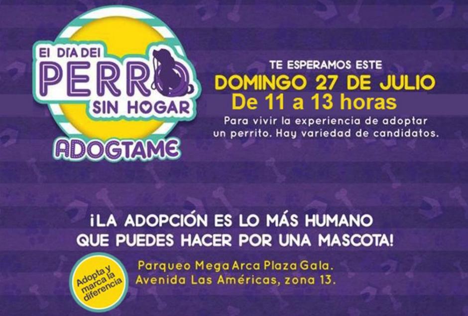 Adogtame busca entontrar un hogar a perritos abandonados. (Diseño: Guate Unida por los Animales oficial) 