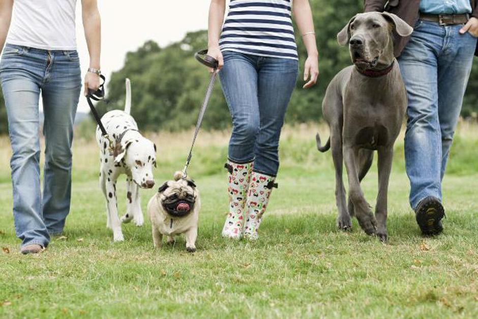 Desde la apertura en 2012, la propietaria Yukiko Tsuchiya, de 50 años, dice que su negocio crece, y varios clientes vienen cada semana.