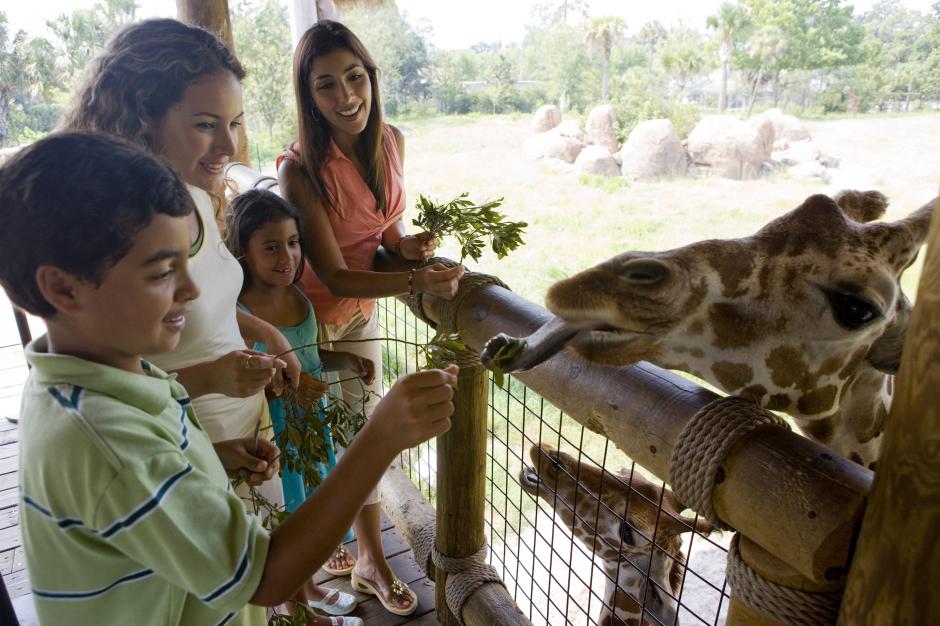 Este 4 de octubre se celebra el "Día Mundial de los Animales". (Foto: thinkstockphotos.es)