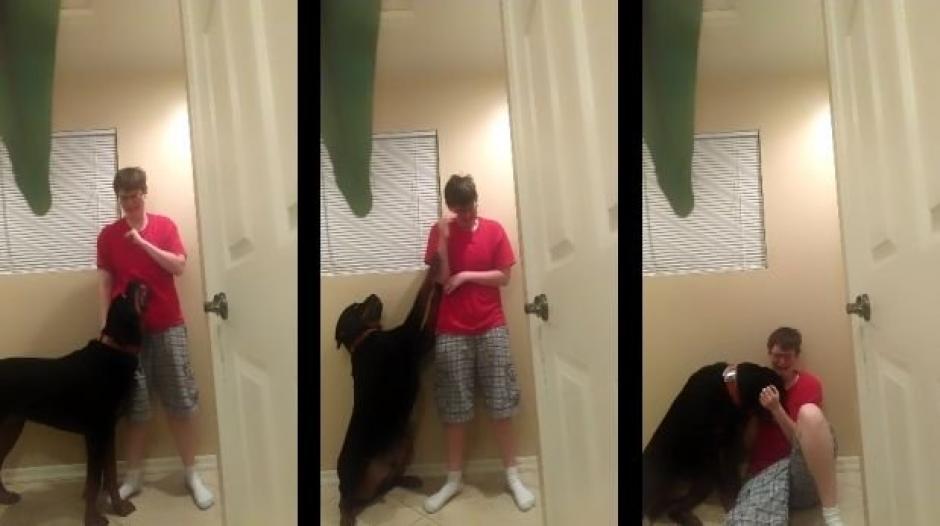 El perro evita en muchas ocasiones que su dueña llegue a niveles de depresión difíciles de reponer. 