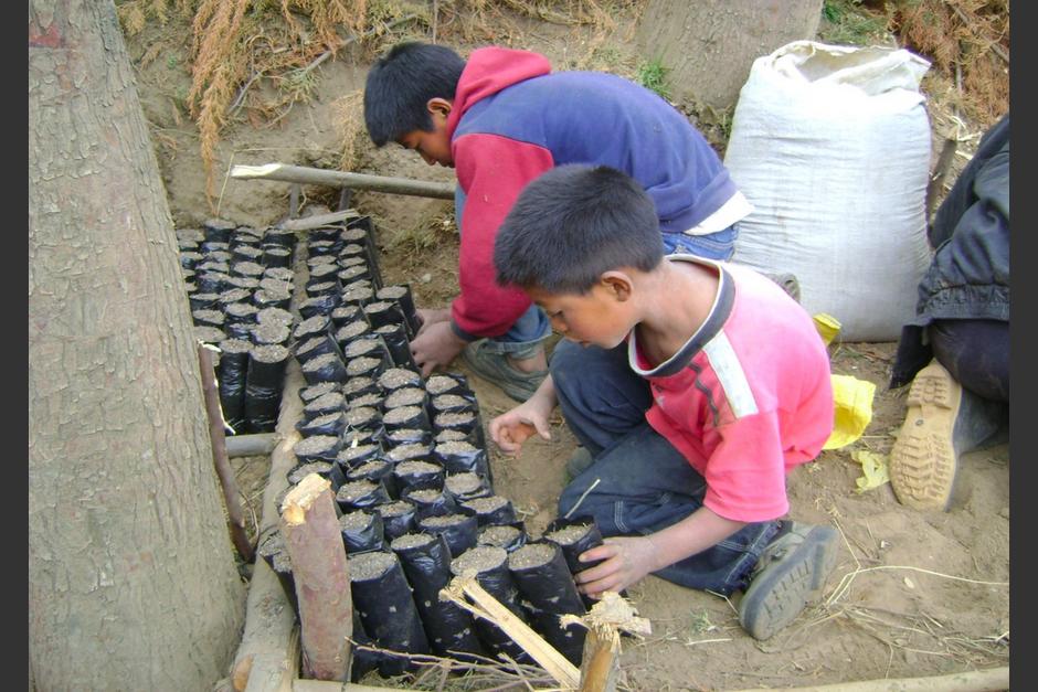 El índice global sitúa a Guatemala como el peor país centroamericano para reclamar derechos laborales. (Foto: Internet)