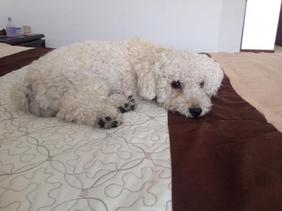 La recuperación de este procedimiento toma entre 10 a 14 días.