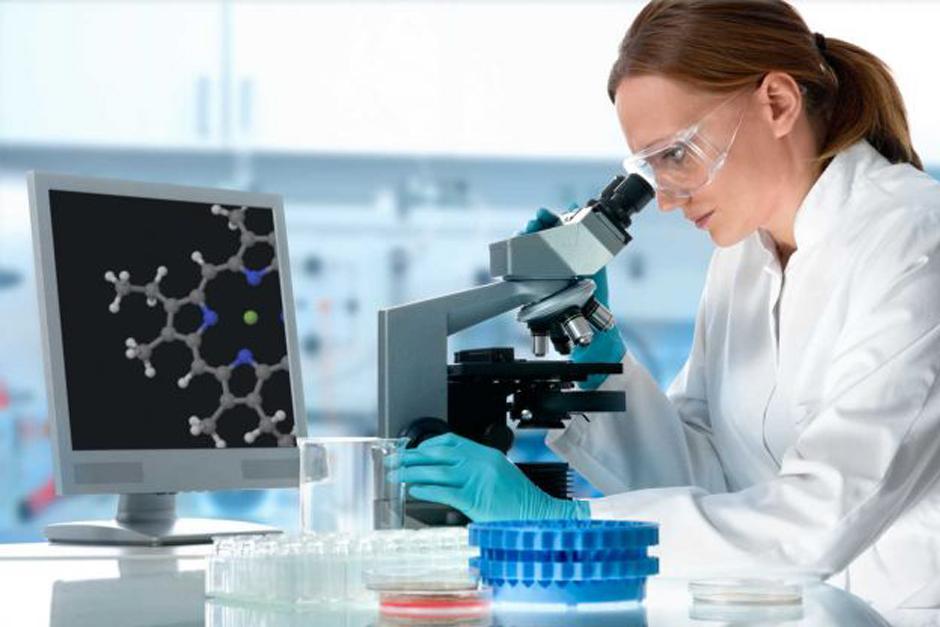 Según los investigadores, en los ratones que son genéticamente predispuestos a desarrollar artritis, el propio sistema inmunológico ataca las membranas sinoviales, que protegen las articulaciones. (Foto: Google)