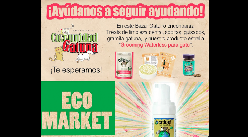 Comunidad Gatuna realizará celebra su Eco Market, a beneficio de Comunidad Gatuna. (Foto: Comunidad Gatuna oficial) 