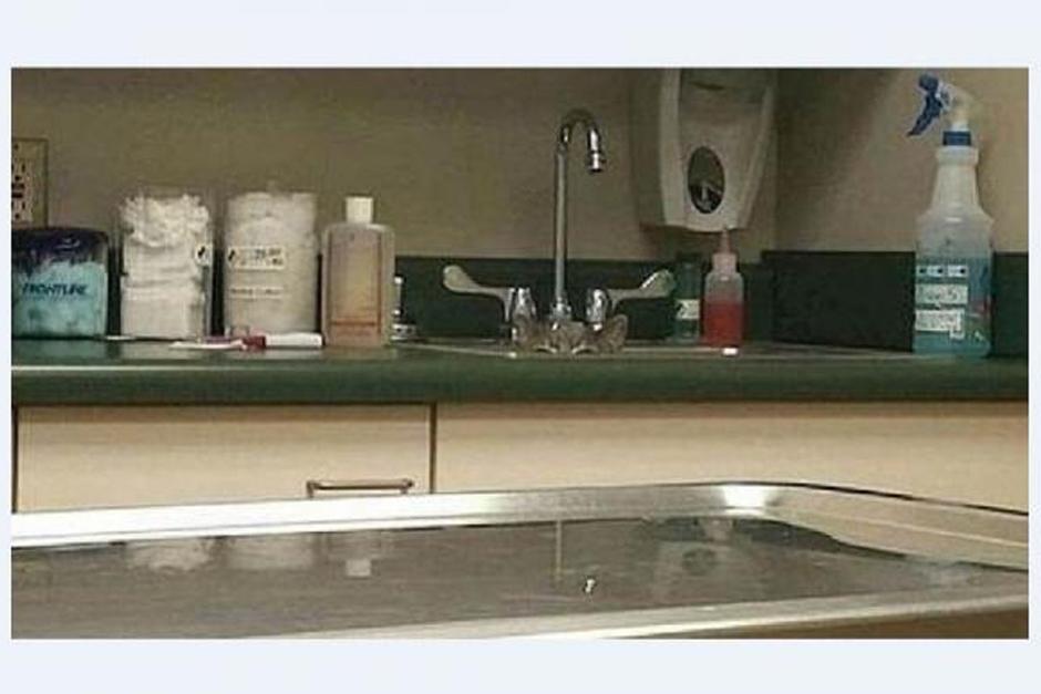 En los últimos meses se han viralizado distintos retos visuales en Facebook.