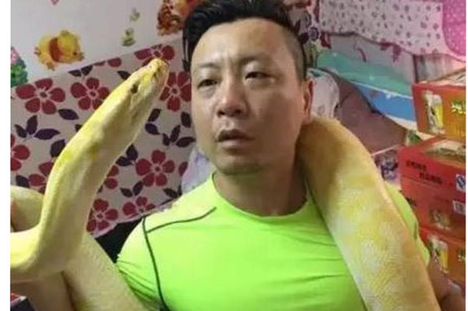 Indignación ha causado en redes sociales de China y otras partes del mundo la acción del hombre que adopta perros y gatos para darlos de comer a su boa mascota. (Foto: Change.org) 
