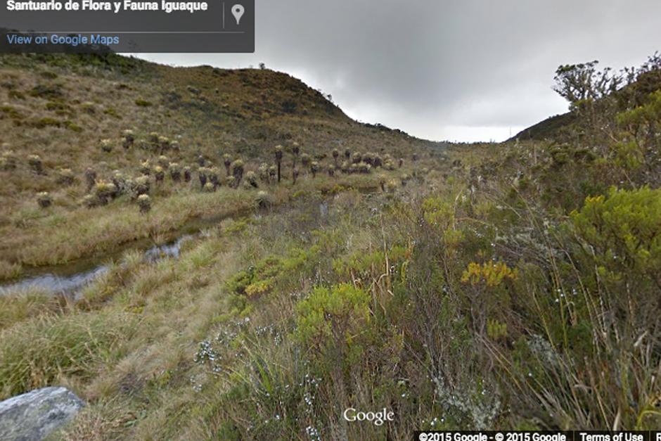 Google incorporó a su plataforma Street View la biodiversidad, magia y riquezas naturales de nueve parques ecoturísticos e Colombia. (Imagen: Google Maps)