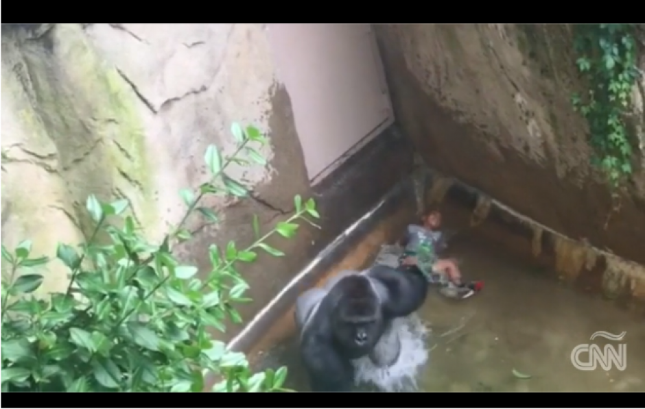 El video fue difundido por redes sociales y ha causado sentimientos encontrados. (Foto: CNN)