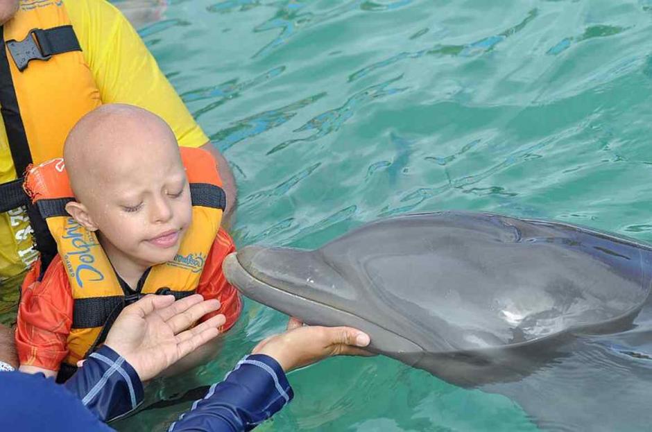 A la fecha, no hay evidencia que permita afirmar que la delfinoterapia tiene efectos favorables duraderos en niños con desórdenes mentales, mucho menos en lo relativo a la curación por ultrasonido. (Foto: elheraldodexalapa.wordpress.com) 