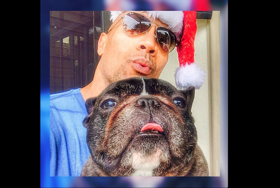 El actor Dwayne Johnson llora la partida de su mejor amigo canino "Louie", expresando su dolor en redes sociales. (Foto: Instagram) 