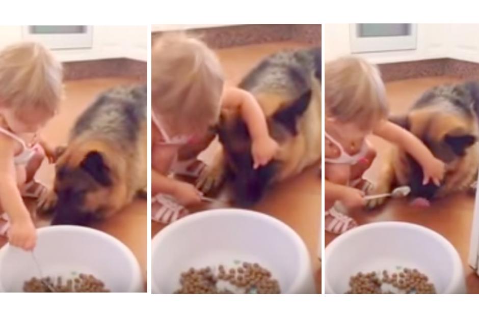 Una pequeña niña alimenta a su perro. (Imagen: YouTube)