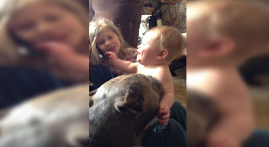 El tierno momento de un bebé con un pitbull. (Imagen: YouTube)