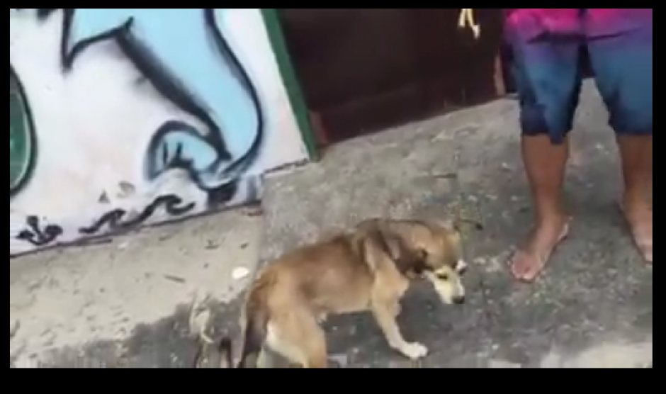 "Fideos" fue captado en un video bailando a ritmo de Bob Marley. (Foto: Facebook)