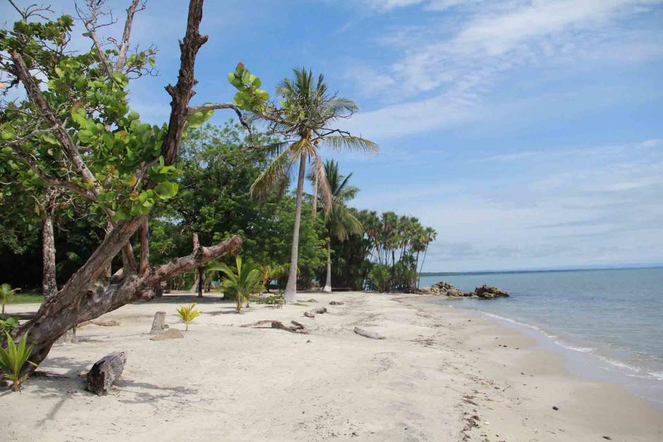 La próxima semana recibirán oficialmente el reconocimiento junto al ministro hondureño. (Foto: Elpaísdelosjóvenes)